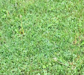 7 Ways To Get Your Yard Ready for Summer - The Curated Farmhouse