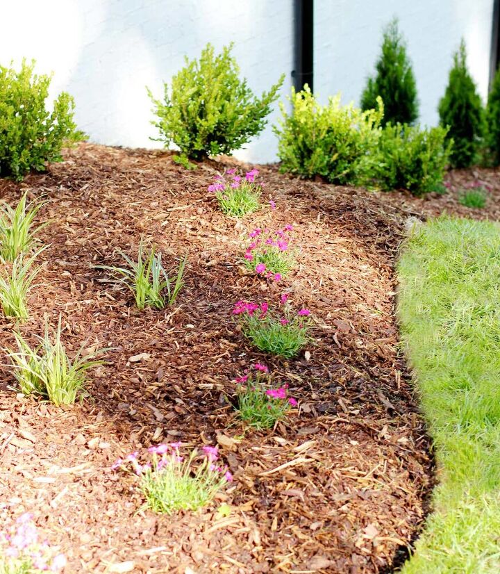 how to edge a flower bed like a pro