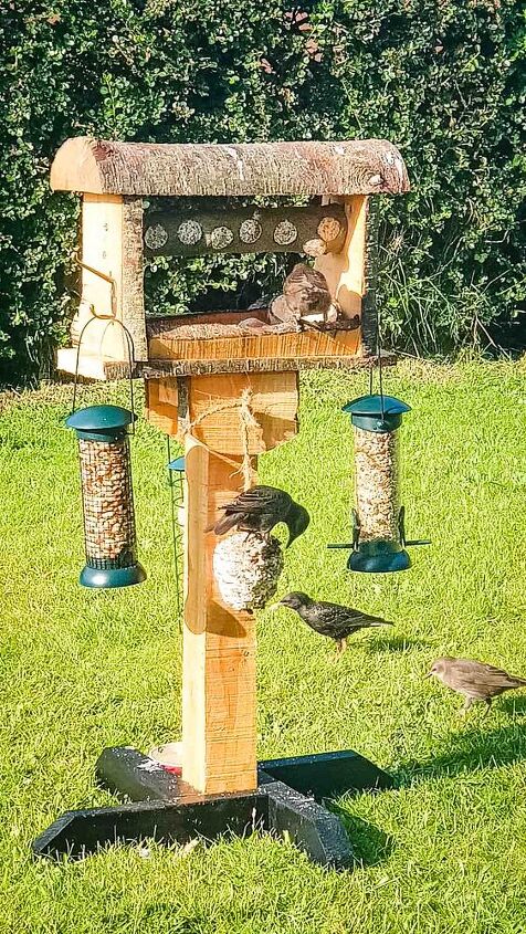 wooden bird feeding station diy suet log feeder
