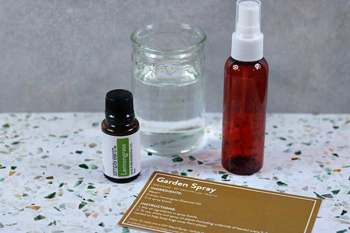 natural homemade plant spray to repel bugs
