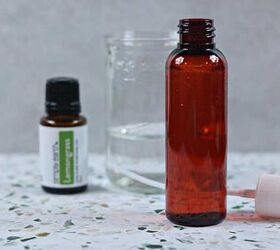 This is all it takes to keep bugs off your plants (indoors and outside!)