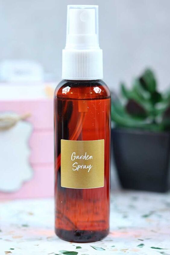 natural homemade plant spray to repel bugs