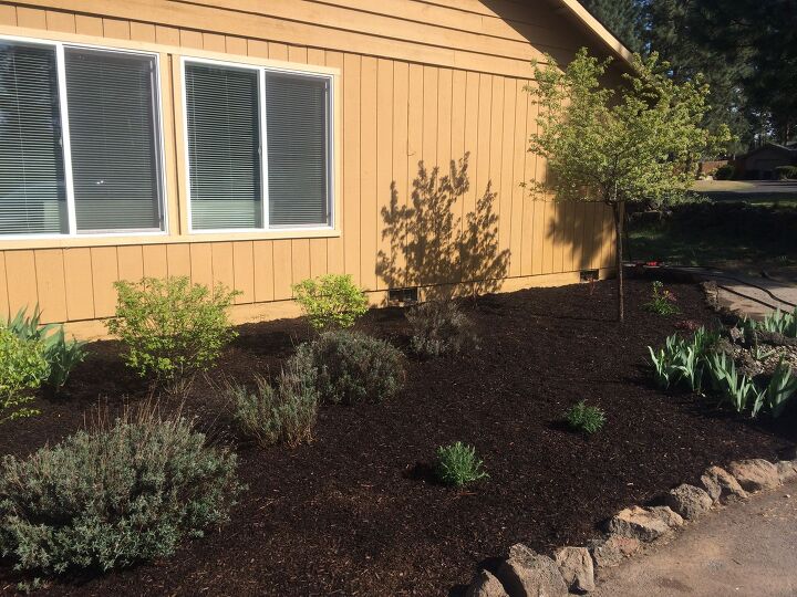 s 18 easy landscaping ideas that you ll absolutely love, Transform your space with dark mulch