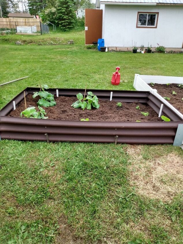como fazer um jardim elevado a partir de um painel de telhado