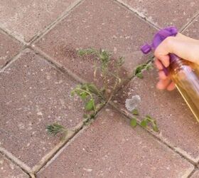 10 brilliant and easy ways to get rid of weeds in your summer garden