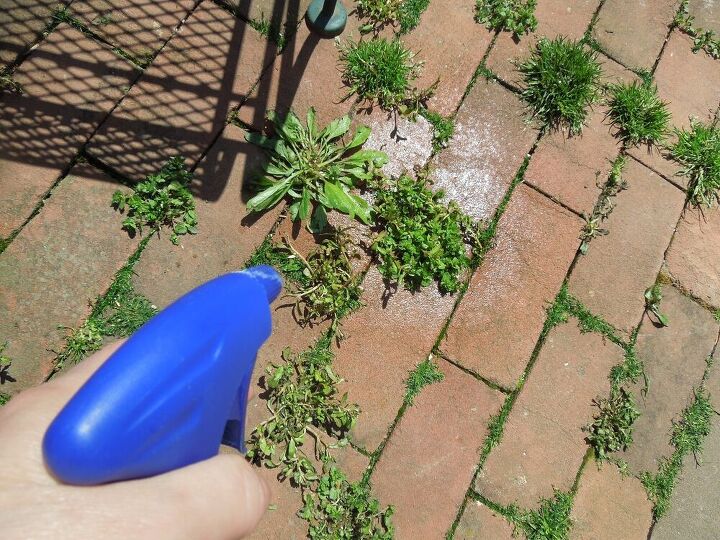 s 10 ways to get rid of weeds in your summer garden, Combine vinegar salt and dish soap to kill them
