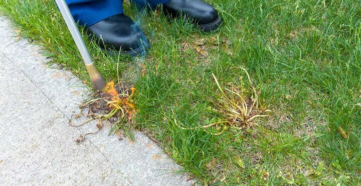 s 10 ways to get rid of weeds in your summer garden, Burn them with fire