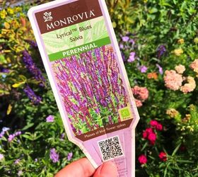 The easy way to turn any small pocket in your yard into a super pollinator garden