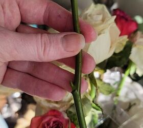 how to propagate roses from cuttings, Cutting from long stem roses