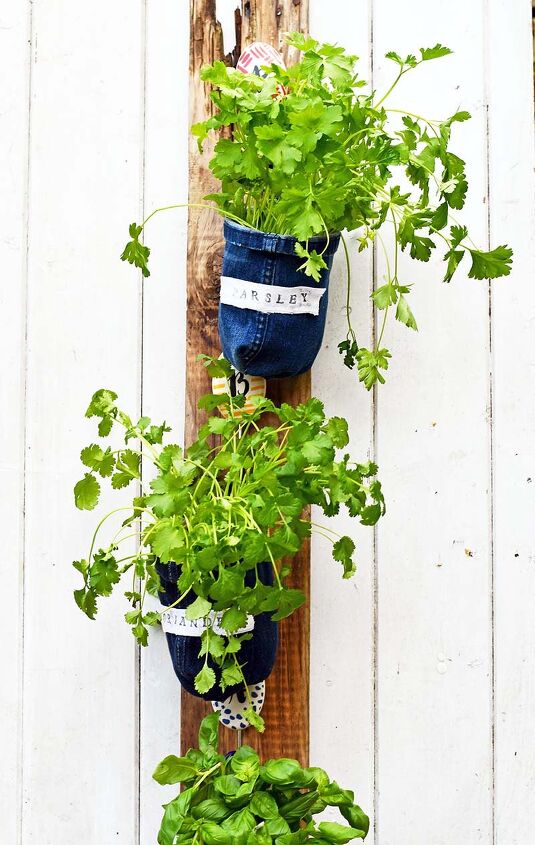 s 20 ways to use old jeans for decor, A rustic indoor herb garden