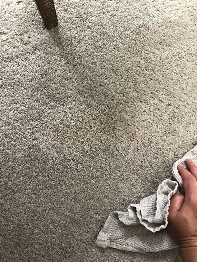 solucin para la limpieza de alfombras