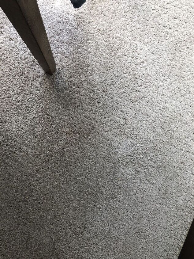 rug cleaning solution