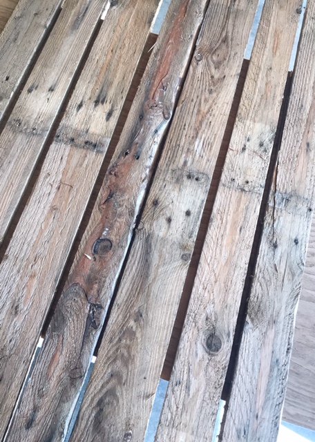 living wall out of pallet wood