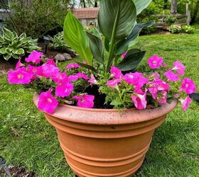 easy outdoor planter idea for sun