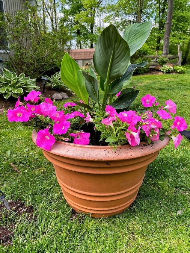 easy outdoor planter idea for sun