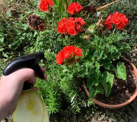 s 10 little known ways to get rid of garden pests, Make an oily soapy spray