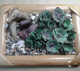 how to make a faux succulent garden with pine cones, Completed Look of Frame One