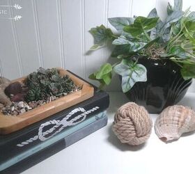 how to make a faux succulent garden with pine cones, Display Option