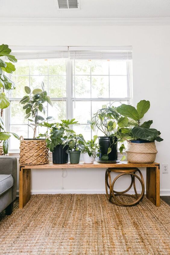 diy stained plant bench