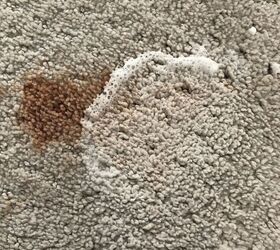 13 soluciones de limpieza de bricolaje que pueden acabar con cualquier desorden, Quita las manchas de las alfombras