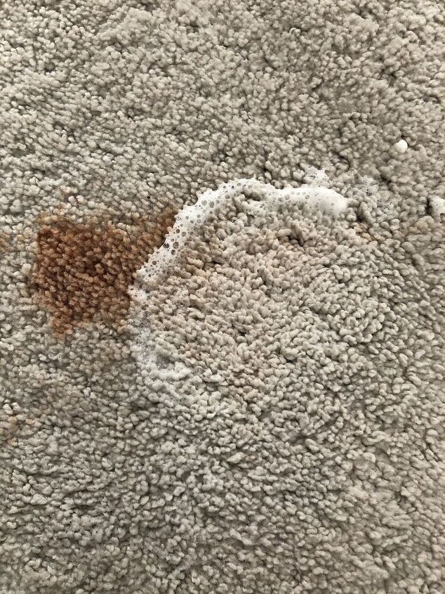 s 13 diy cleaning solutions that can take down any mess, Get out rug stains