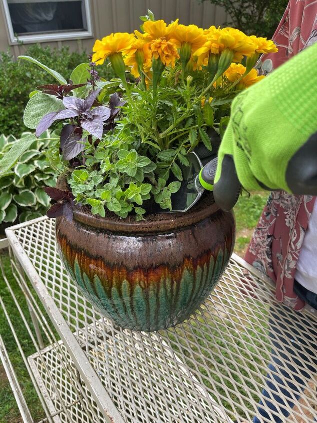 how to plant a mosquito repellent garden