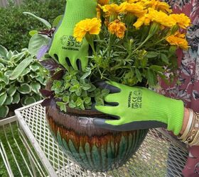 how to plant a mosquito repellent garden