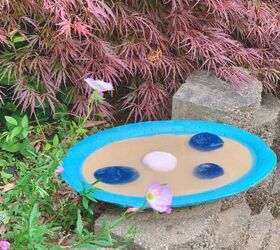 How to Make a Butterfly Puddling Station