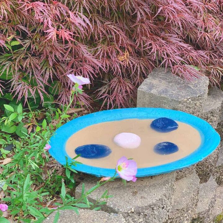 How to Make a Butterfly Puddling Station
