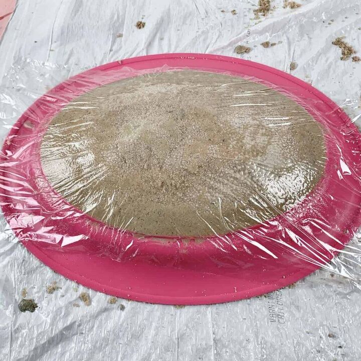 How to Make a Butterfly Puddling Station