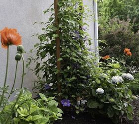 how to make a modern plant trellis for climbing flowers