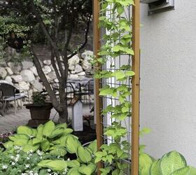 Alambre De Acero Kit de las plantas trepadoras formación en espaldera enrejado de accesorios de jardín Set 