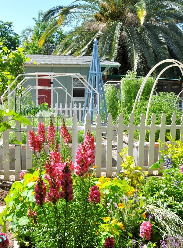how to build a garden obelisk, My garden