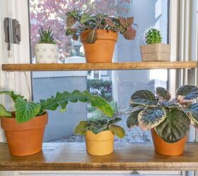 14 ways to upgrade your old windows without replacing them, Install window plant shelves