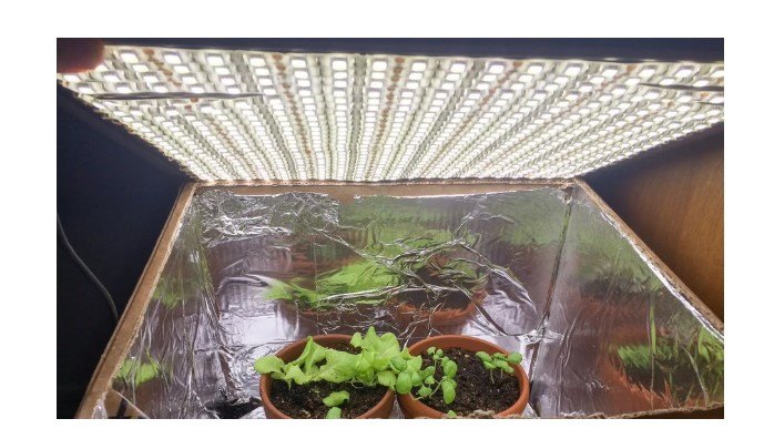 s 10 clever ways to improve your home using tin foil, Create an indoor growing room for plants
