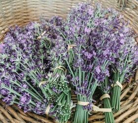 easy diy lavender wreath