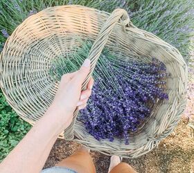 Tie bunches of lavender to make this gorgeous summer idea for less than $20