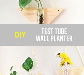 test tube wall planter