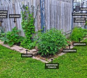 how i expanded my backyard growing space more veggies, After