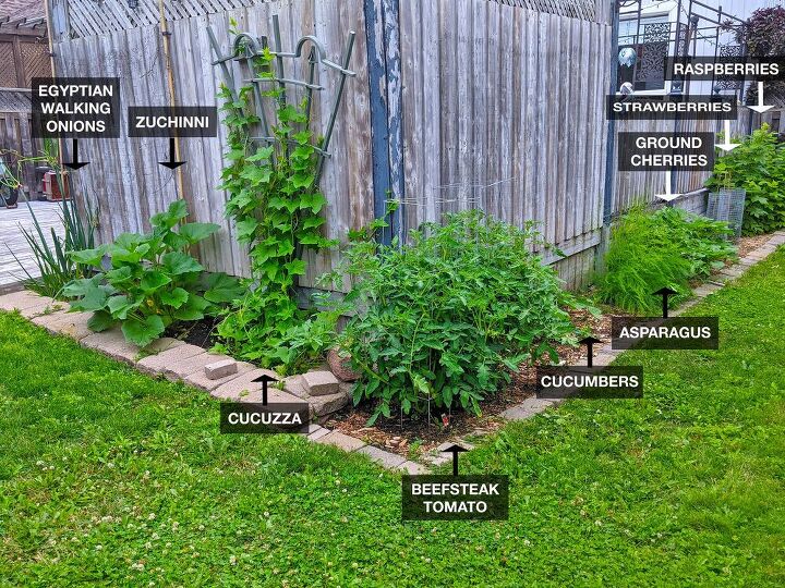 how i expanded my backyard growing space more veggies, After