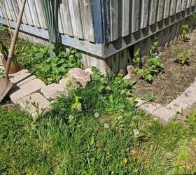how i expanded my backyard growing space more veggies, Bad join