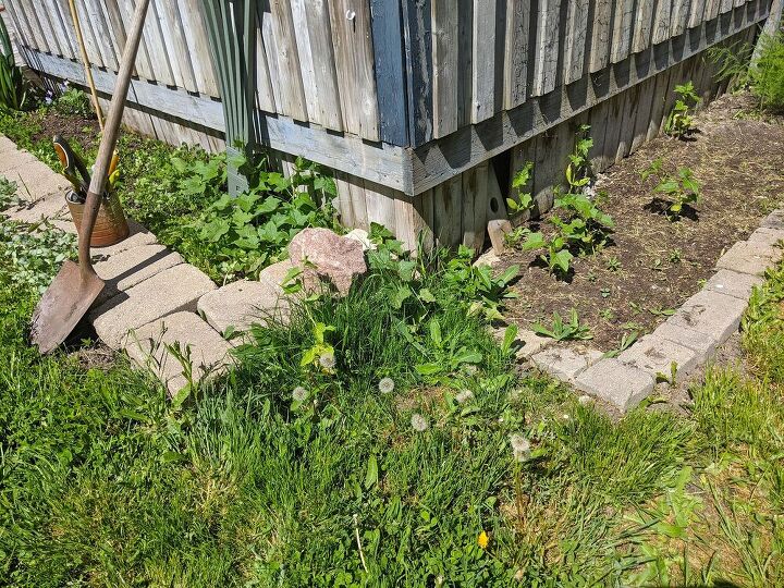 how i expanded my backyard growing space more veggies, Bad join