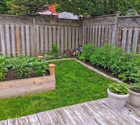 how i expanded my backyard growing space more veggies