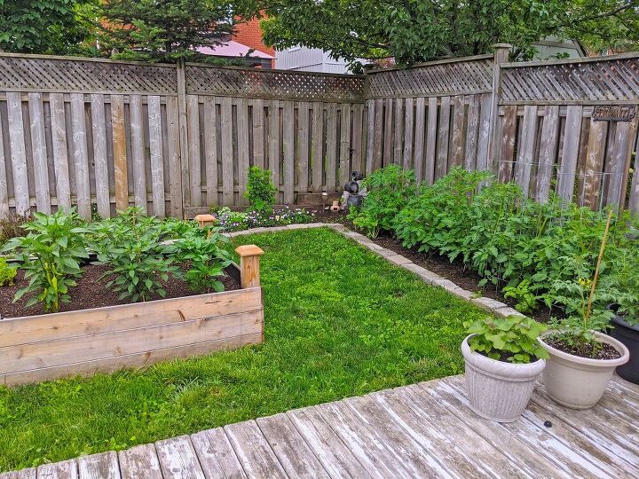 how i expanded my backyard growing space more veggies