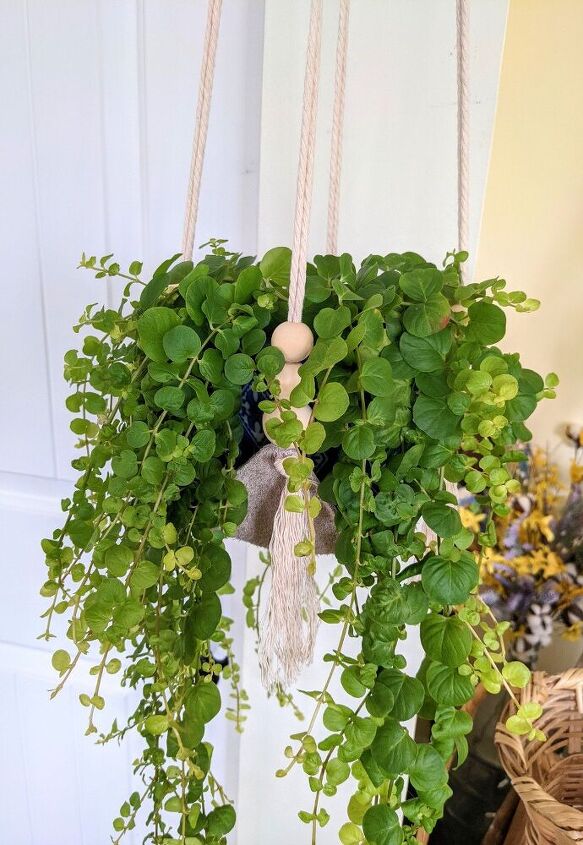 leather and cotton macrame plant hanger
