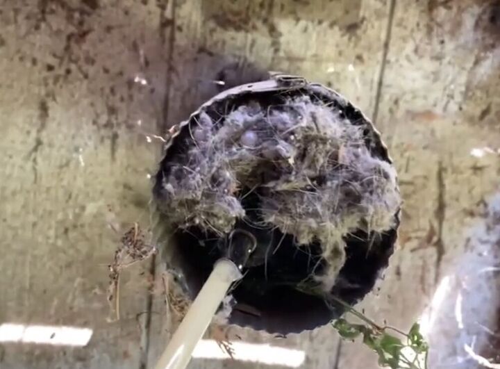 how to clean a dryer vent