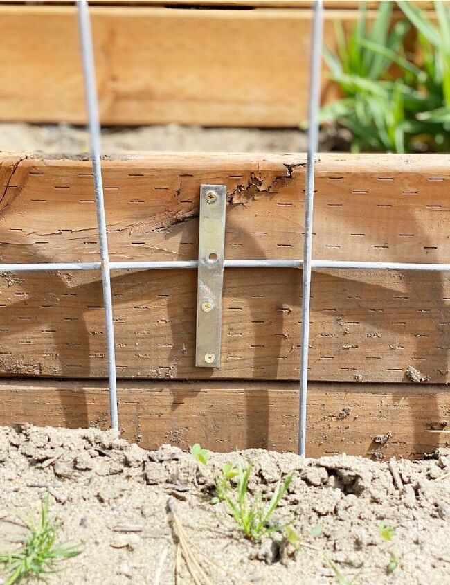 easy cattle panel trellis how to connect to raised beds