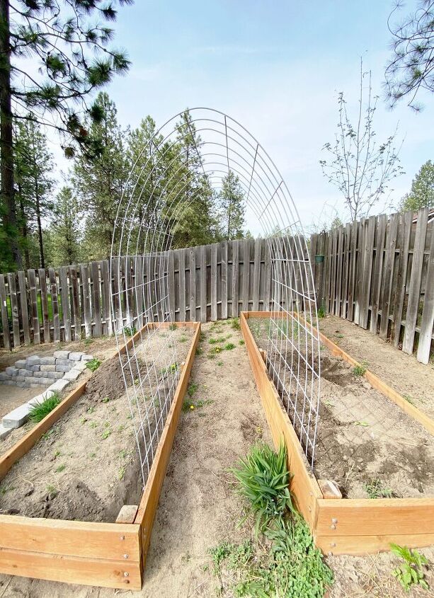 easy cattle panel trellis how to connect to raised beds