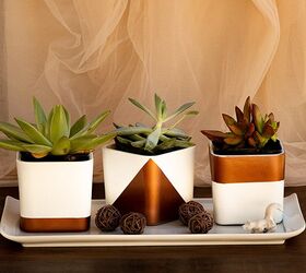 s 17 beautiful things you can make using dollar store items, These cute succulent containers