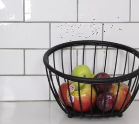 How to Get Rid of Fruit Flies Easily With Homemade Traps